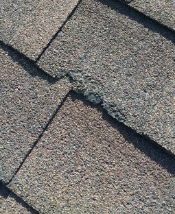 Roof Inspection Chipped Shingles